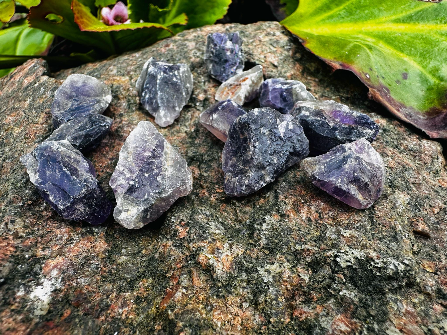 Amethyst Wassersteine 50g