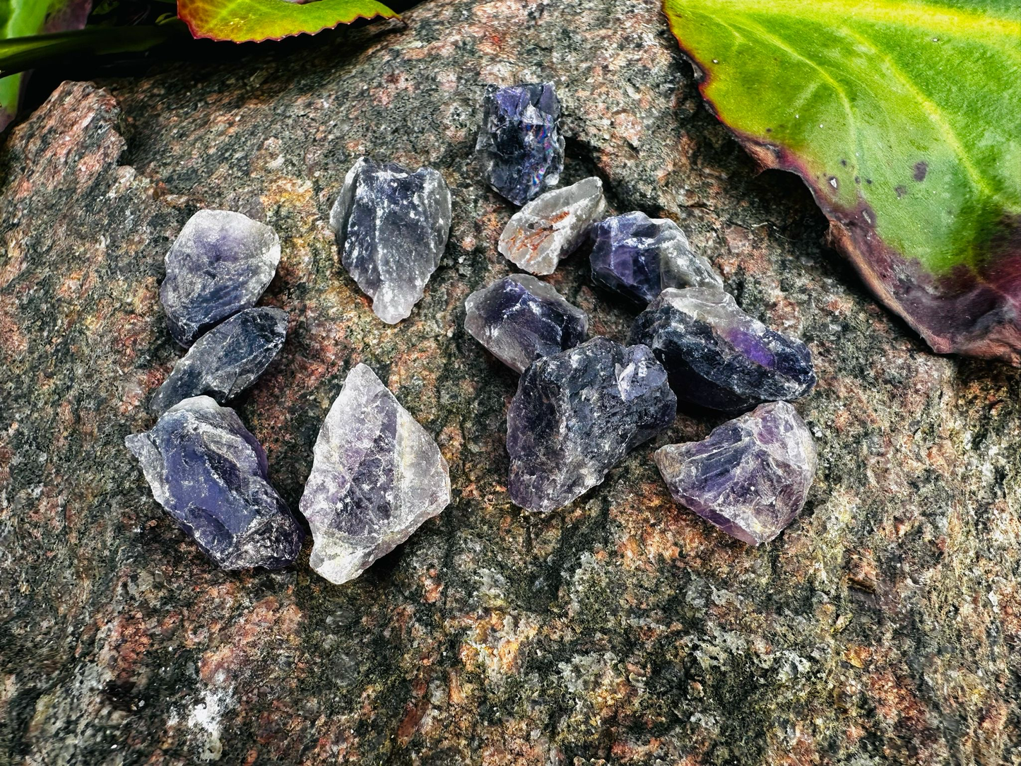 Amethyst Wassersteine 50g