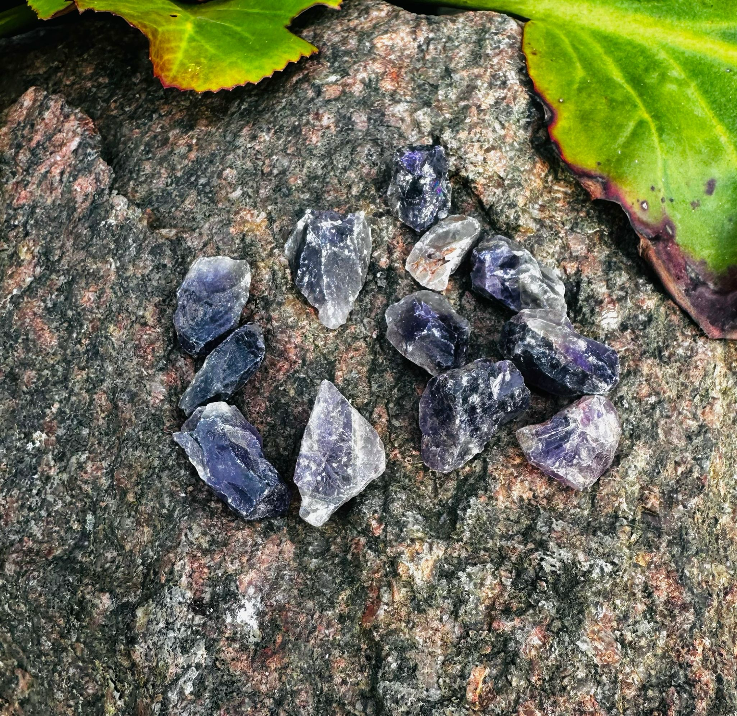 Amethyst Wassersteine 50g