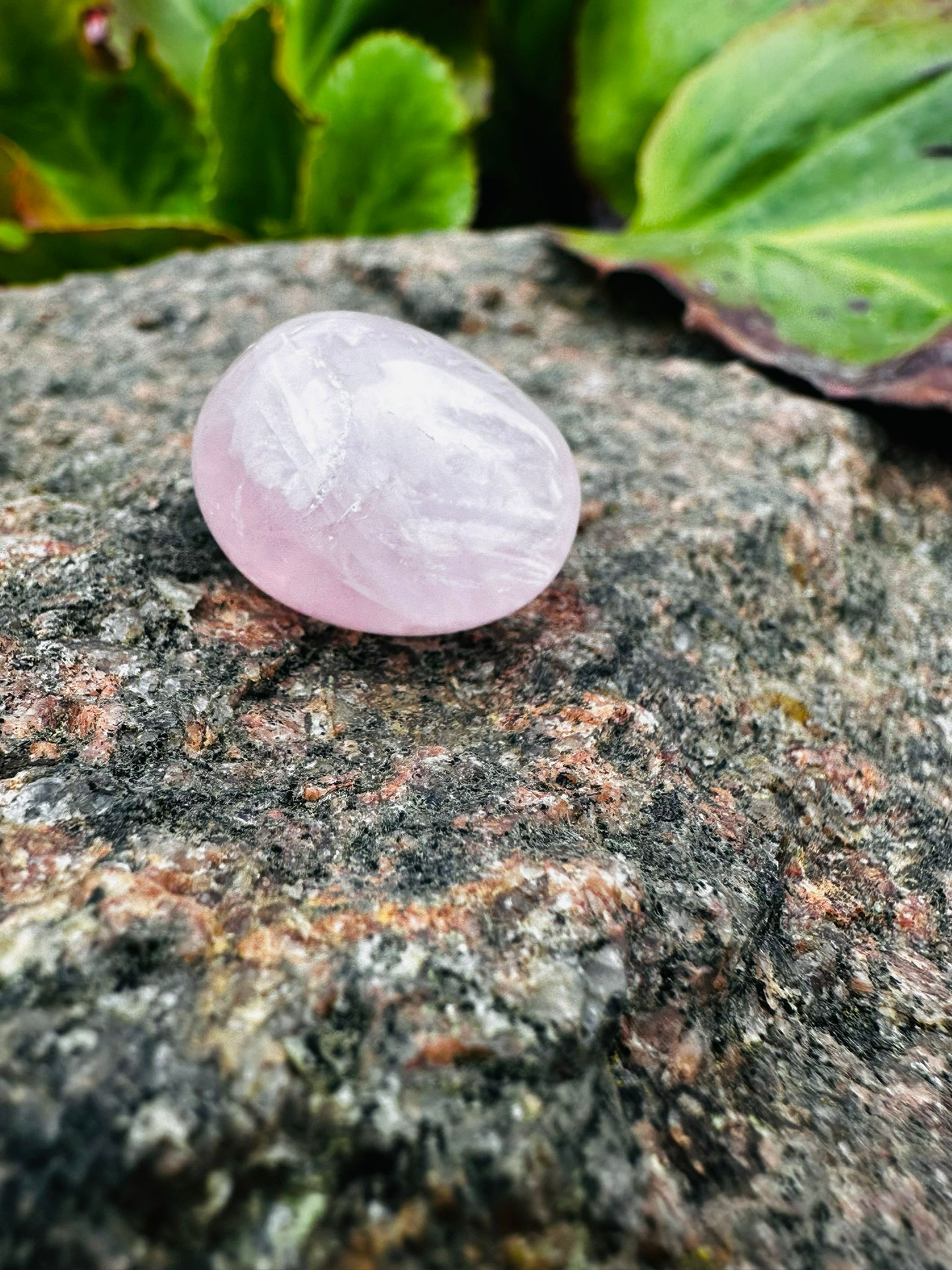 Rosenquarz Trommelstein